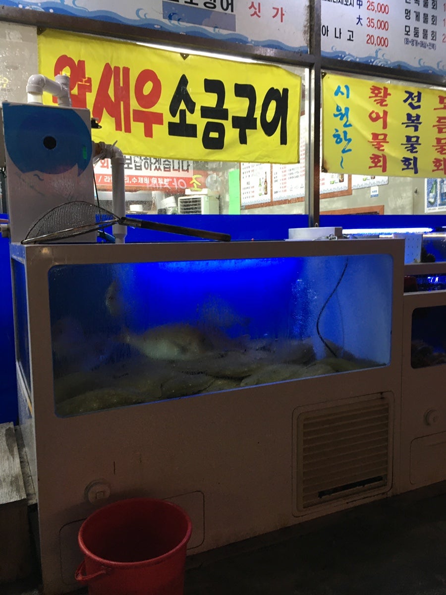 가게 앞 수족관과 안내 배너. 새우소금구이와 활어물회·전복물회·모둠물회 메뉴를 알리고 있습니다.
